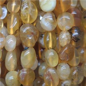 yellow Opal Jasper beads chip, freeform, approx 6-8mm [GB10162]