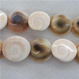 Shiva Shell Fossil beads, approx 18-22mm [GB10521]