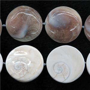 Shell Fossil beads, circle, approx 40mm dia [GB10524]