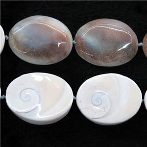 oval Shell Fossil beads, approx 30-40mm [GB10525]