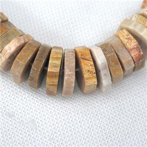 yellow Coral Fossil beads, faceted heishi, approx 20mm dia [GB10715]