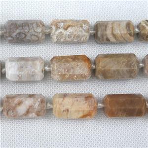 Coral Fossil tube beads, approx 13-25mm [GB10719]