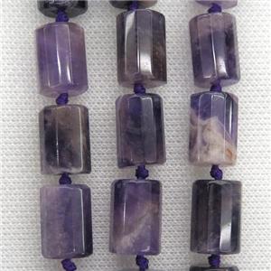Dogtooth Amethyst Beads, faceted Column, approx 11.5-16mm [GB10741]