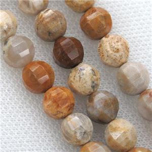 Coral Fossil Beads, faceted round, approx 9-10mm [GB10837]