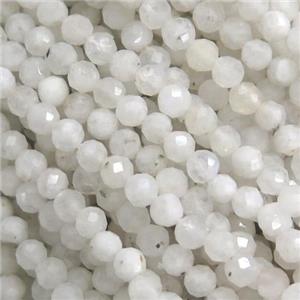 tiny white MoonStone Beads, faceted round, approx 3mm dia [GB10973-3MM]