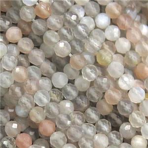 tiny MoonStone Seed beads, faceted round, approx 3mm dia [GB10974-3MM]