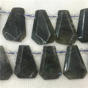Labradorite teardrop collar beads, faceted, topdrilled, approx 15-28mm [GB11229]