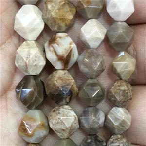 American Petrified Wooden Jasper Beads, faceted round, approx 6mm dia [GB11313-6MM]