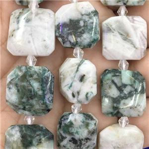 green Tree Agate square Beads, approx 15x15mm [GB11494]