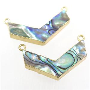 Paua Abalone shell pendant, V-shape, gold plated, approx 20-35mm [GM10294]