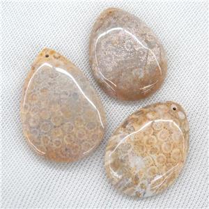 Coral Fossil Pendants, teardrop, yellow, approx 30-60mm [GM11759]