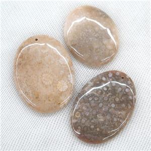 Coral Fossil Pendants, oval, yellow, approx 30-60mm [GM11760]