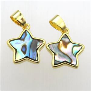 Abalone Shell star pendant, approx 13mm dia [GM11998]