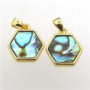 Abalone Shell hexagon pendants, approx 11-12mm [GM12008]