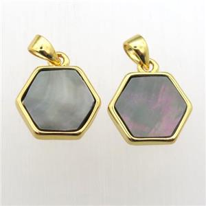 gray Abalone Shell hexagon pendants, approx 11-12mm [GM12009]