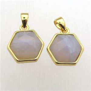 Blue Lace Agate hexagon pendants, approx 11-12mm [GM12012]