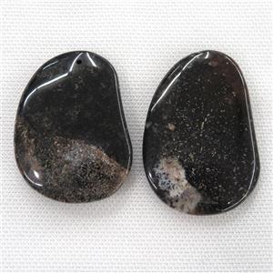 black Coral Fossil pendants, freeform, approx 40-55mm [GM12094]