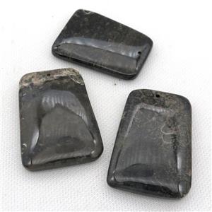 black Coral Fossil pendants, trapeziform, approx 35-55mm [GM12095]