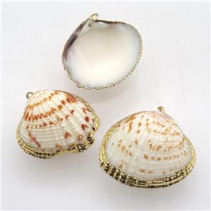 Conch Shell Clam pendant, gold plated, approx 22-30mm [GM12594]