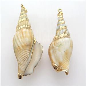 Conch Shell pendant, gold plated, approx 20-60mm [GM12618]