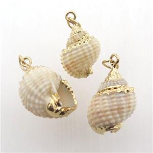conch shell pendant, gold plated, approx 10-20mm [GM12639]