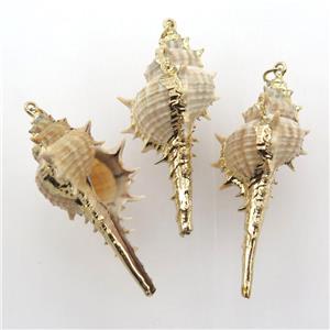 conch shell Oyster pendant, gold plated, approx 20-45mm [GM12642]