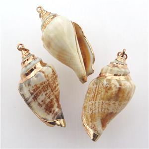 conch shell pendant, gold plated, approx 20-35mm [GM12646]