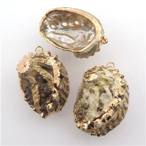 conch shell Oyster pendant, gold plated, approx 25-40mm [GM12651]