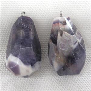 Dogtooth Amethyst pendant, freeform, approx 20-40mm [GM13105]