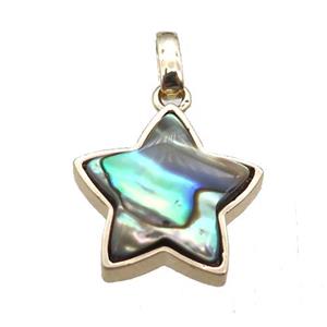 Abalone Shell star pendant, gold plated, approx 16mm [GM13662]