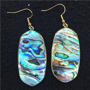 Abalone Shell earring, gold plated, approx 20-45mm [GMER311]
