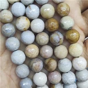 Natural Coral Fossil Beads Faceted Round, approx 4mm dia [GMLB2364-4MM]