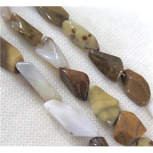 natural Agate beads, freeform, approx 10-25mm [GMLB2371]