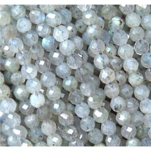 Labradorite tiny beads, faceted round, approx 3mm dia [GMLB2876]