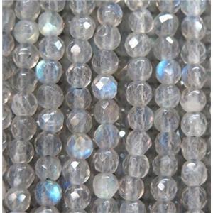 tiny Labradorite beads, faceted round, approx 3mm dia [GMLB3233]