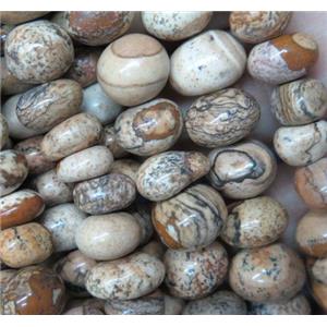 picture jasper chip bead, freeform, approx 6-10mm [GMLB3464]