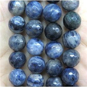 faceted round Blue Jasper beads, B grade, approx 8mm dia [GMLB4005-8MM]