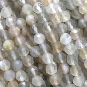 natural Gray MoonStone beads, faceted round, approx 3mm dia [GMLB4044]