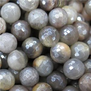 gray MoonStone beads, light electroplated, faceted round, approx 8mm dia [GMLB4291-8MM]