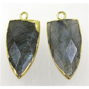 labradorite pendant, faceted arrowhead, gold plated, approx 15-30mm [GMPDA10219]