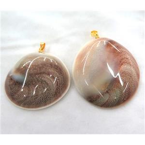shell pendant, freeform, approx 15-40mm [GMPDA3350]