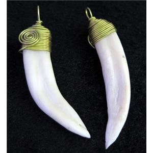 white wolftooth pendant, horn, wire wrapped, approx 15-60mm [GMPDA4266]