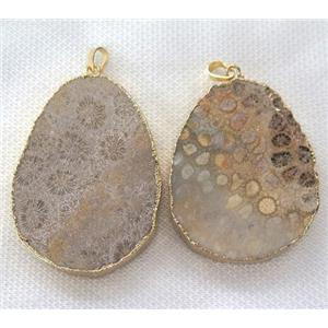 coral fossil slice pendant, freeform, gold plated, approx 30-70mm [GMPDA4795]