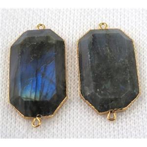 Labradorite connector, faceted rectangle, gold plated, approx 20-30mm [GMPDA4887]