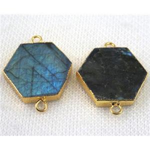 Labradorite hexagon connector, gold plated, approx 25mm dia [GMPDA4929]