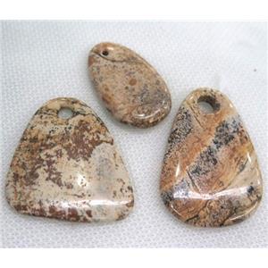 Picture Jasper pendant, mix shape, approx 20-50mm [GMPDA5008]