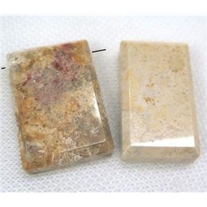 gemstone pendant, freeform, approx 2520-40mm [GMPDA5013]