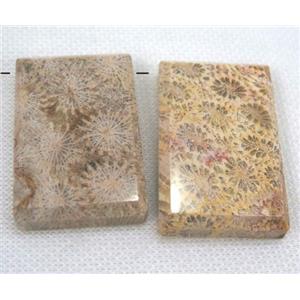 gemstone pendant, freeform, approx 30-45mm [GMPDA5014]