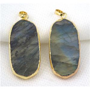 Labradorite oval pendant, gold plated, approx 20x40mm [GMPDA5217]