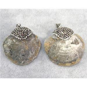 Ammonite fossil pendant paved rhinestone, approx 30-35mm [GMPDA5691]